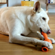 Illustration for article titled Treat-Dispensing Chew Toys That Fit Your Dogs Tennis Ball Launcher